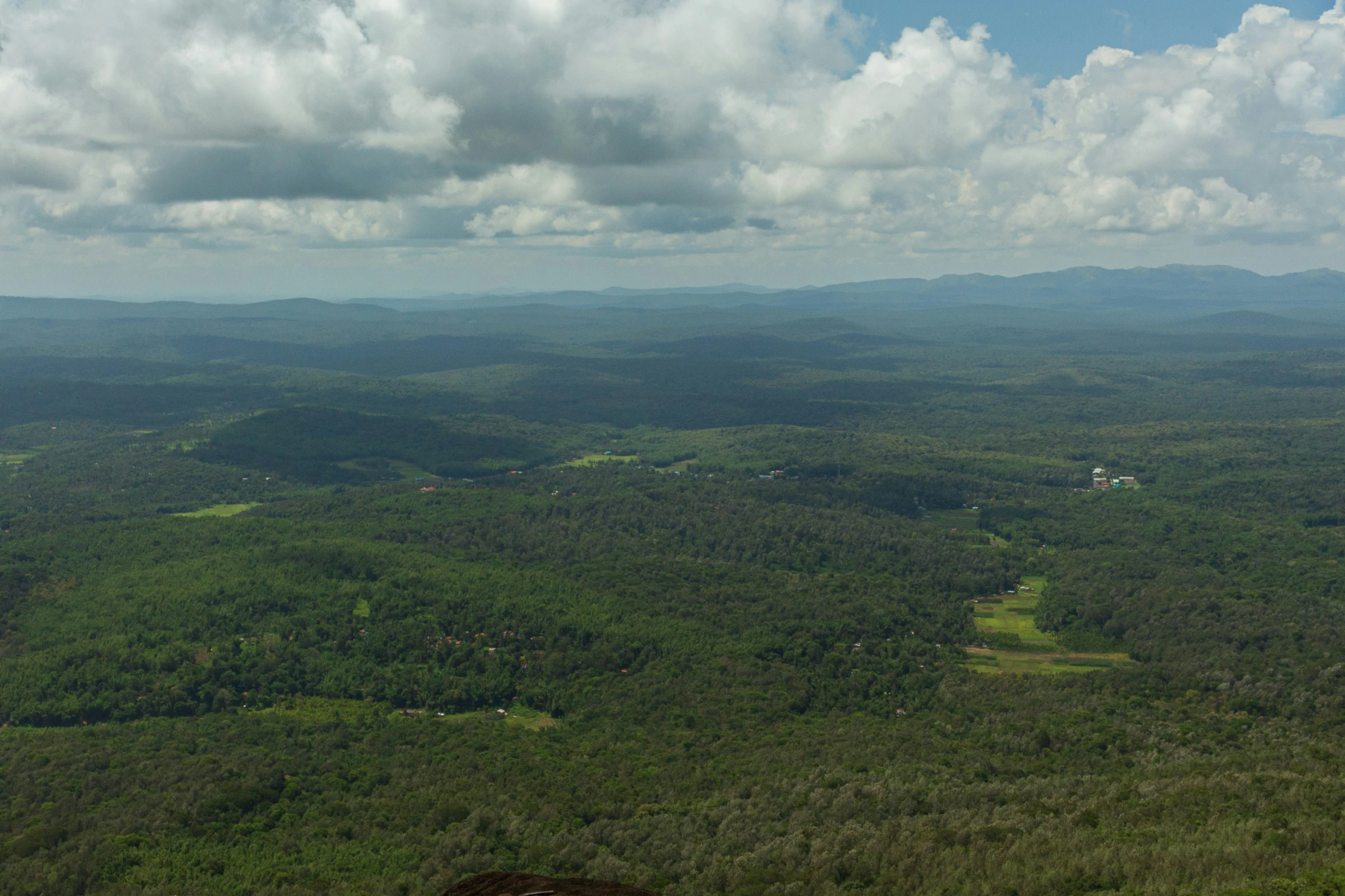 an aerial view of the forest and rolling hills