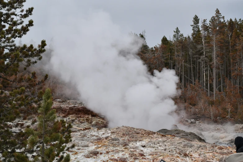 a large geyser rising up into the sky surrounded by trees