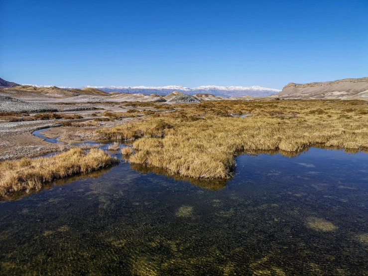 the grass is growing in water next to the mountain