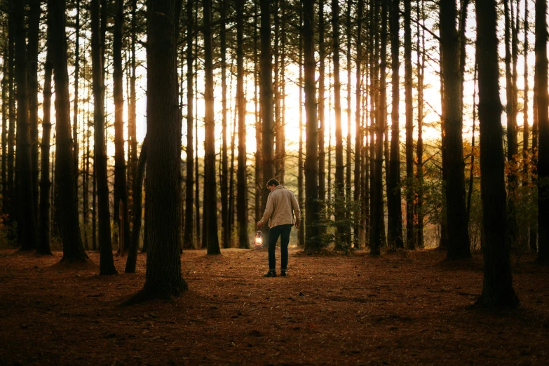 a man in the woods walks towards a bright sun