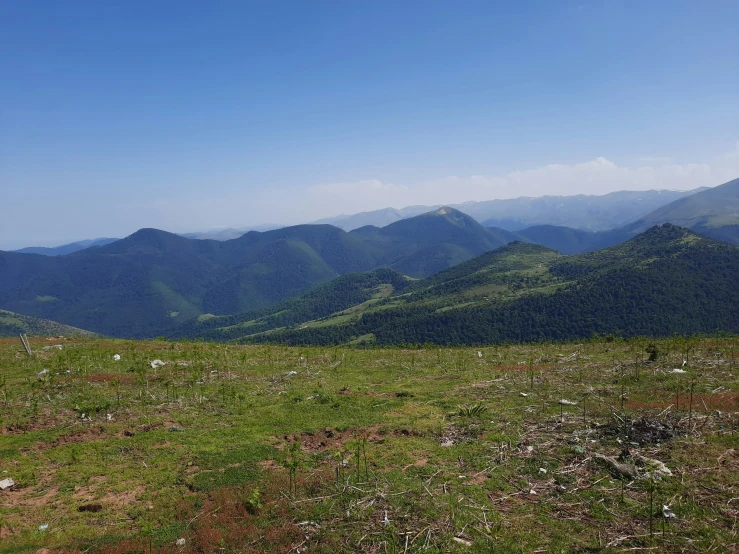 a field in the mountains near some water