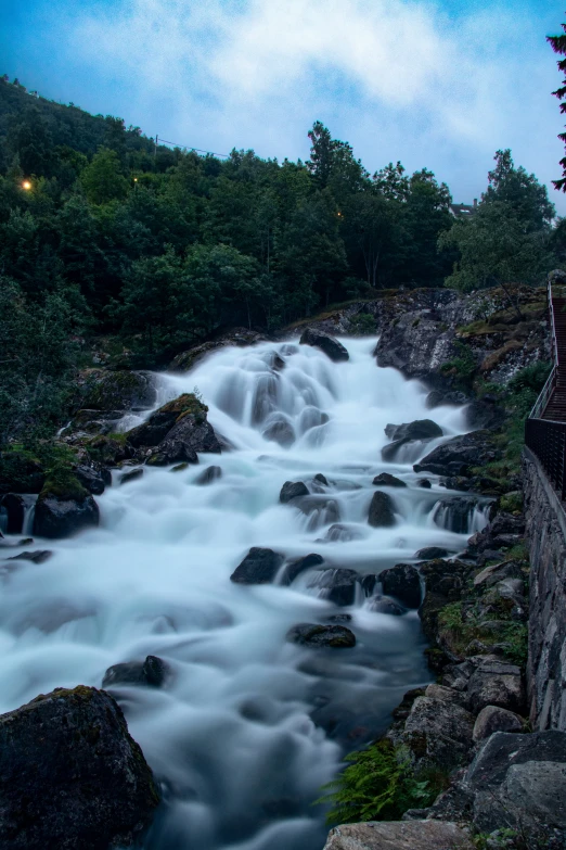 a long stream near the forest at night