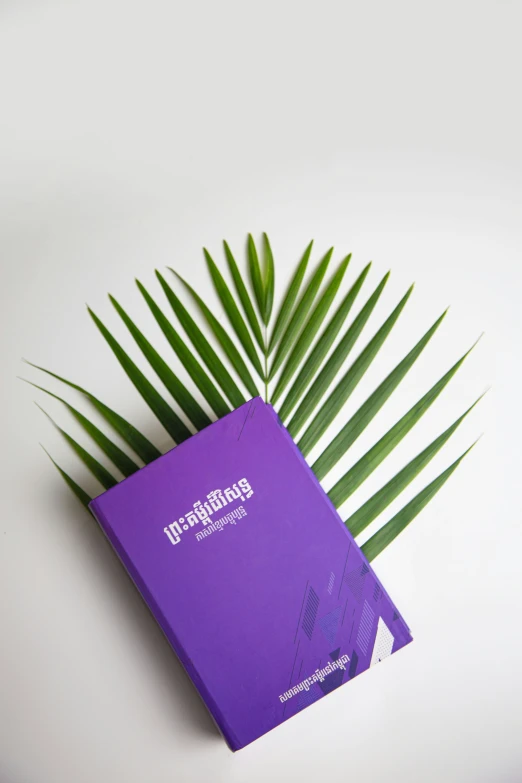 a purple folder and a frondy palm leaf