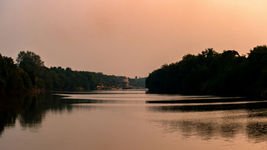 there are many trees and boats in the water