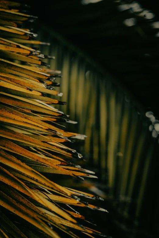 a closeup of a weaving machine showing colors of yellow and brown