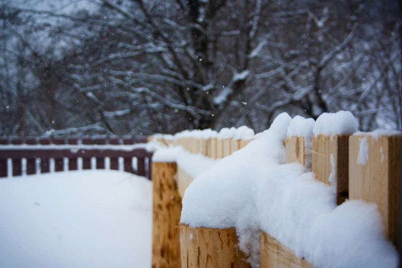 a fence with snow on it near some trees