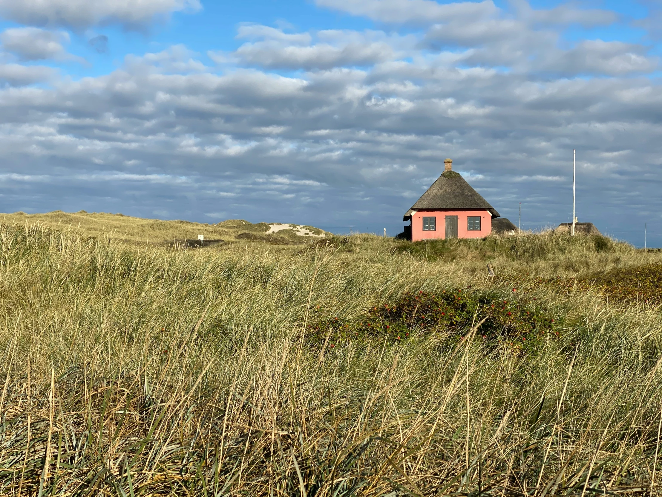 small building with straw roofs sits on the side of a hill