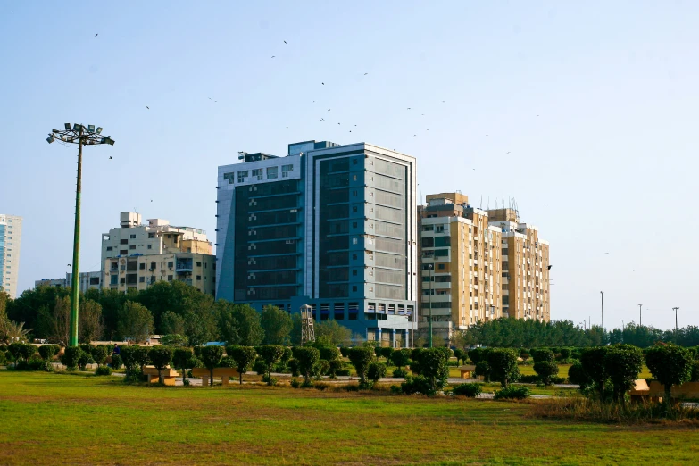 birds are flying near a tall building and several other buildings