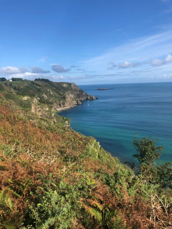 a horse is standing on top of the cliff near the water