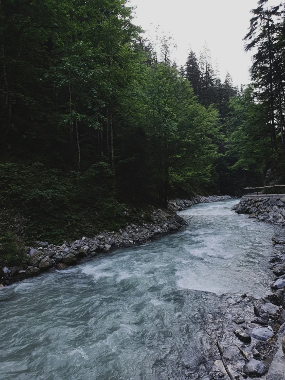 the water is running between a mountain and forest