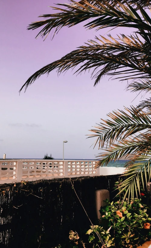 a view of the ocean with some vegetation on the other side