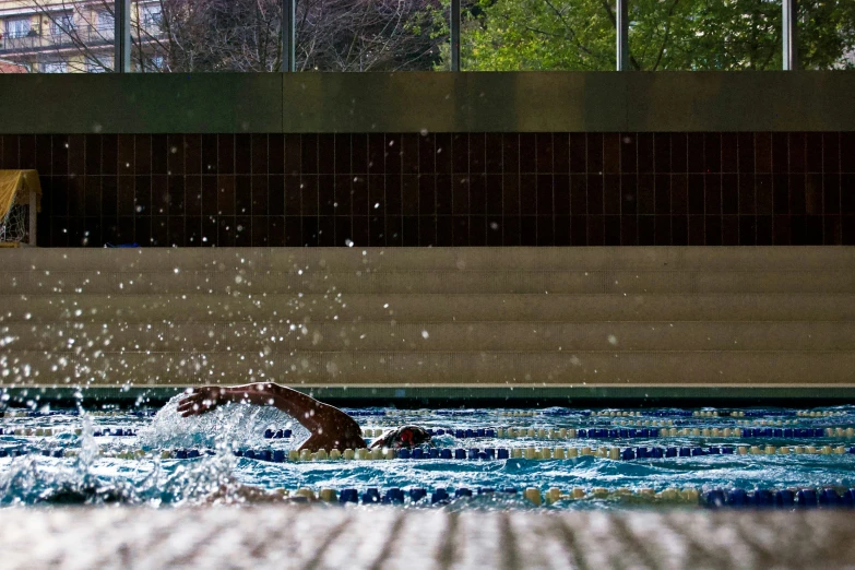 a swimmer is shown from behind while going for a starting spot