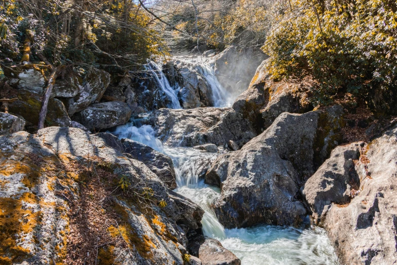 a stream running along the rocks in the forest