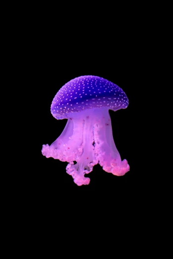 a purple jellyfish swimming in water against a black background