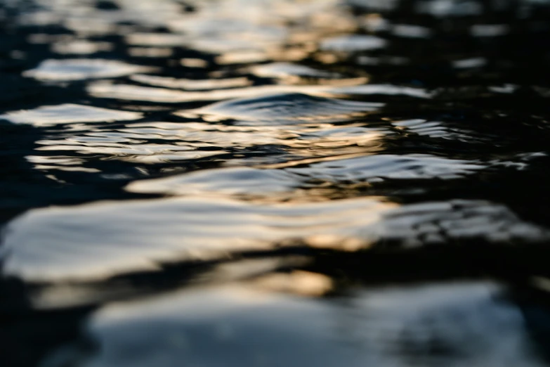 a boat on the river reflecting light and dark