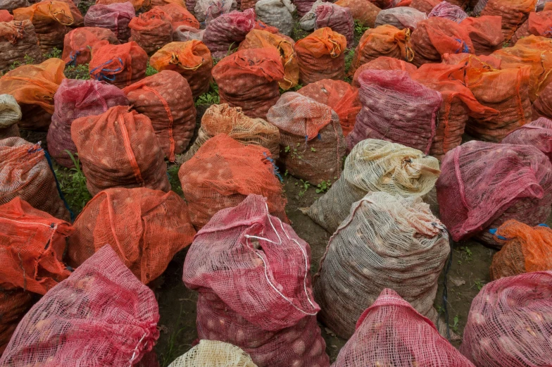 a large amount of mesh bags are sitting in the dirt