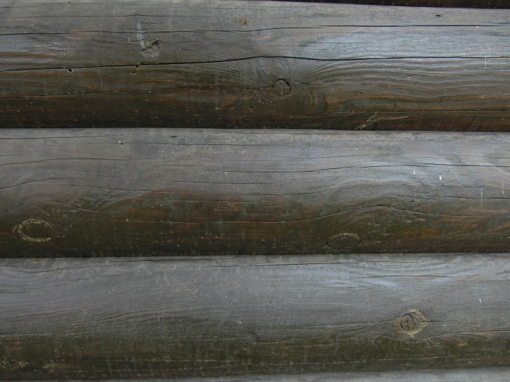 a red bird perched on top of wood logs