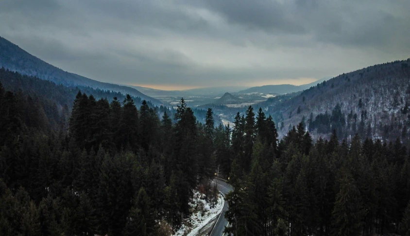 a snowy road surrounded by trees under cloudy skies