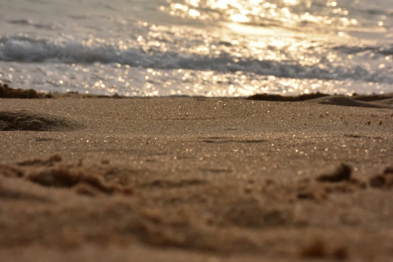 the sand is covered in many small shells