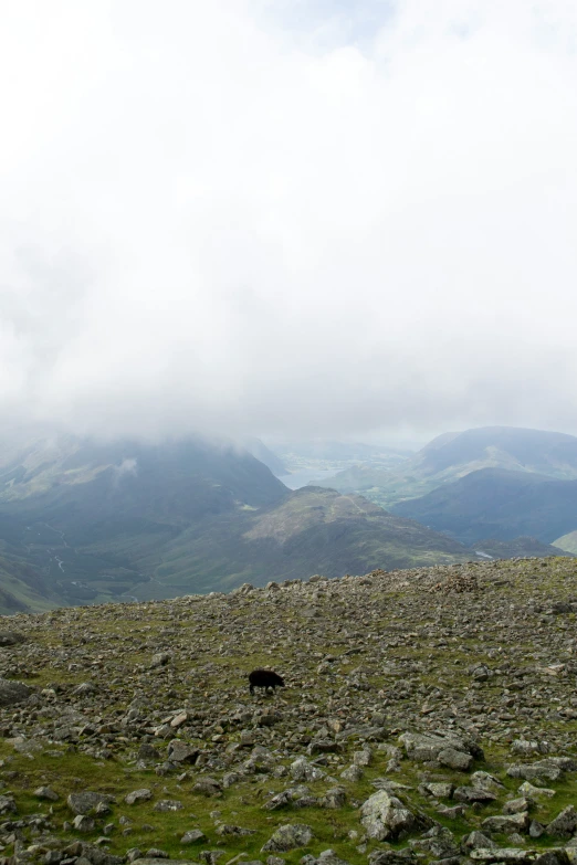 rocky terrain with very low grass and low mountains behind