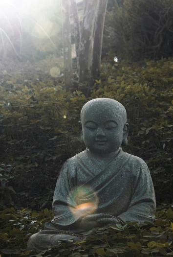a buddha statue sitting in the middle of grass