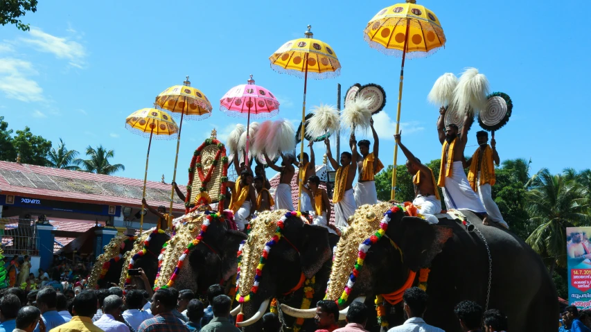 elephants are adorned with umbrellas and decorations