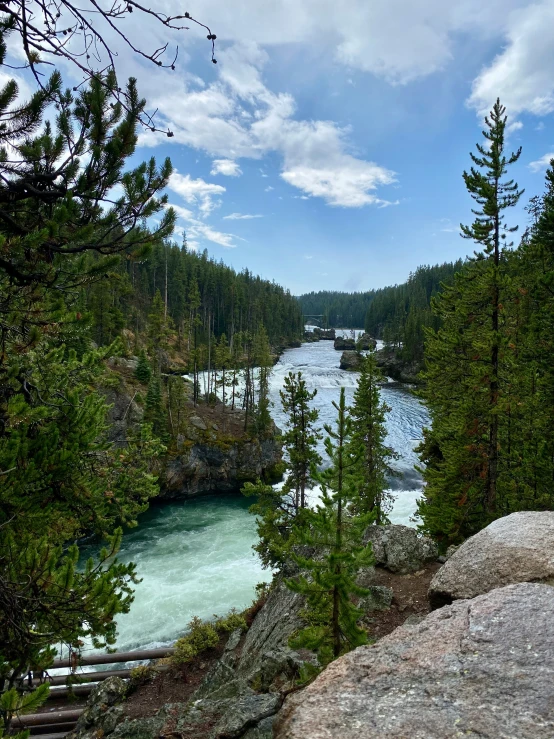 river flowing in the woods, with trees on both sides