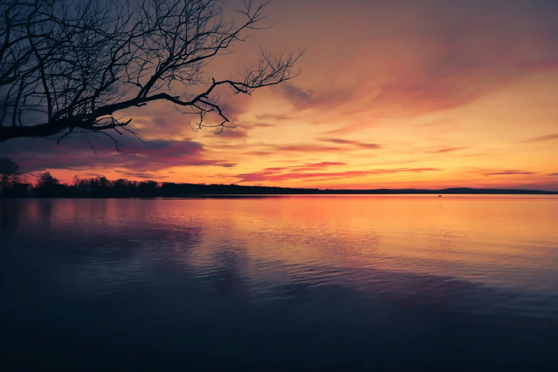 a bright sunset over a lake with trees without leaves