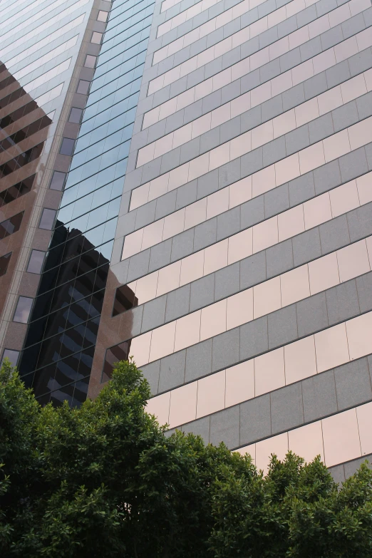 the reflection of some buildings in another one