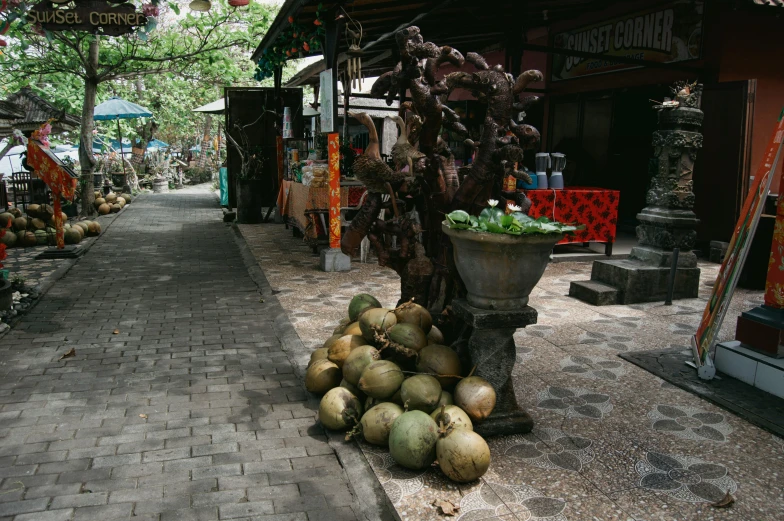 there are many different vegetables in a bunch on display