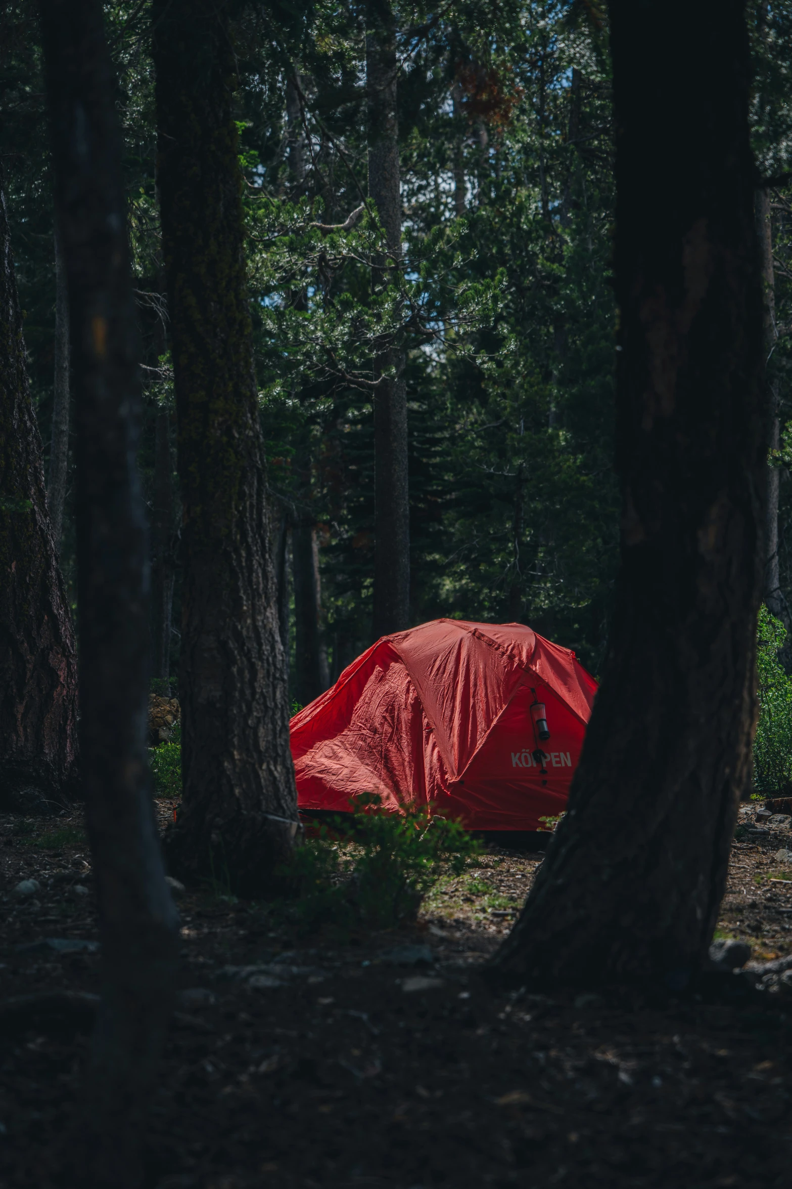 the large red umbrella is in the middle of the forest