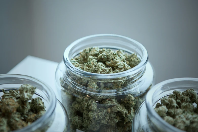 three jars are full of weed sitting on a table