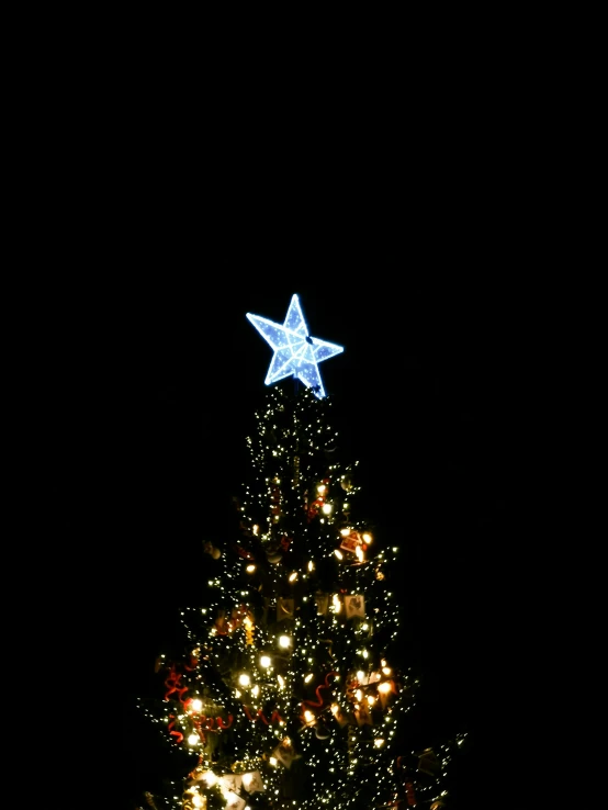 a very large and shiny christmas tree lit up with christmas lights