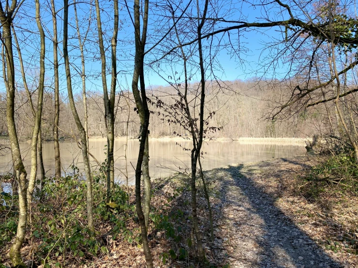 the shadow of trees on the side of the road is cast on water