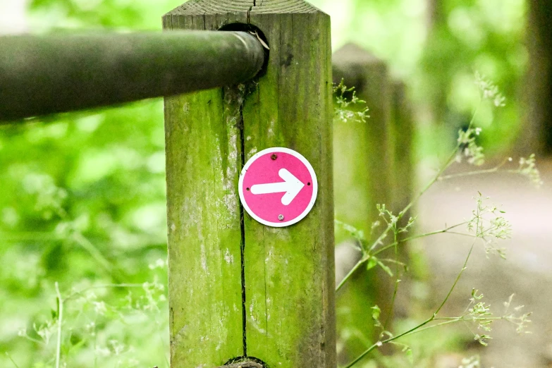 an arrow sign next to a fence with greenery behind it