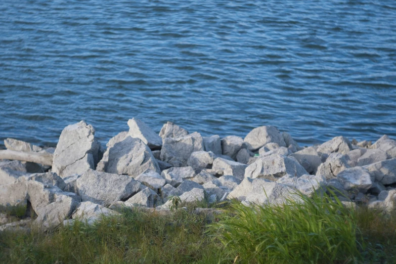 a few rocks with sea grass on either side