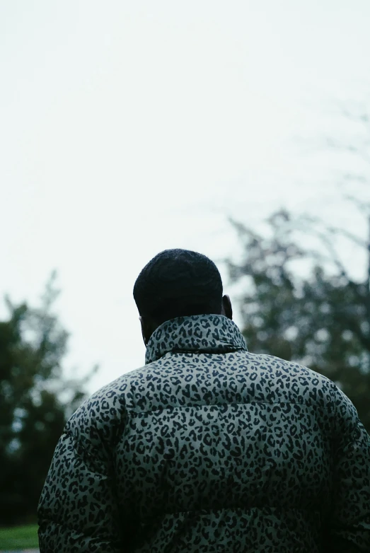 the man is standing back to the camera and staring at trees