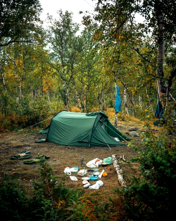 a makeshift camping tent in the woods is set up