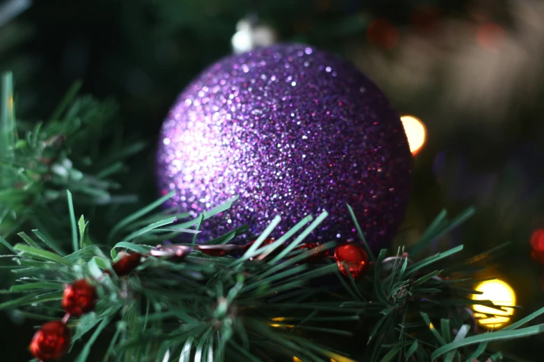 purple ornament sitting on a green pine tree