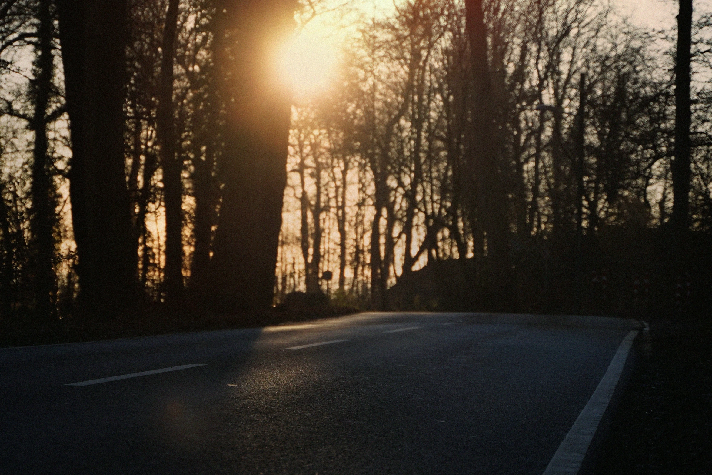 the sun is shining brightly through trees on a road