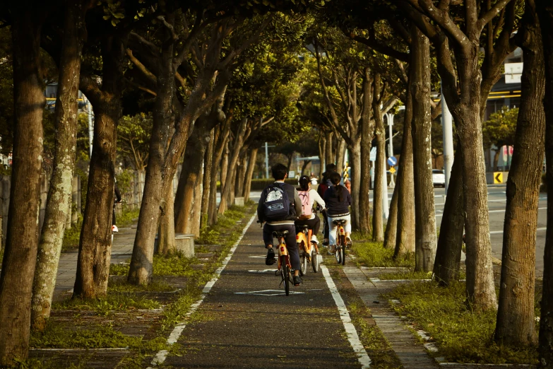 three people riding their bikes down the road