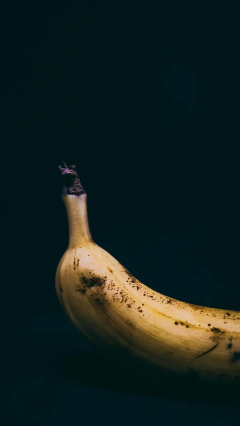 a large banana with brown spots on it sitting on the ground