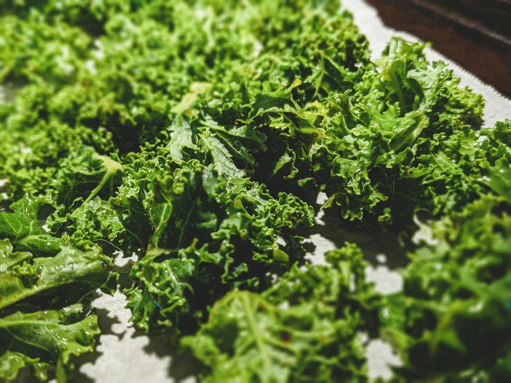 greens laid out and prepared for cooking in a large bowl