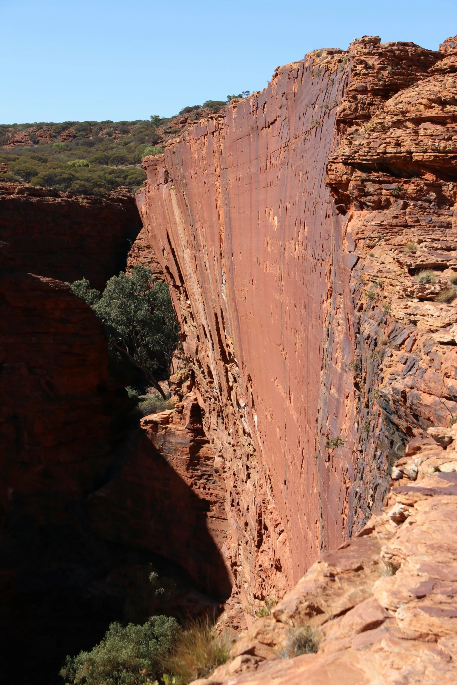 a cliff, with a rock wall and scrubby ground