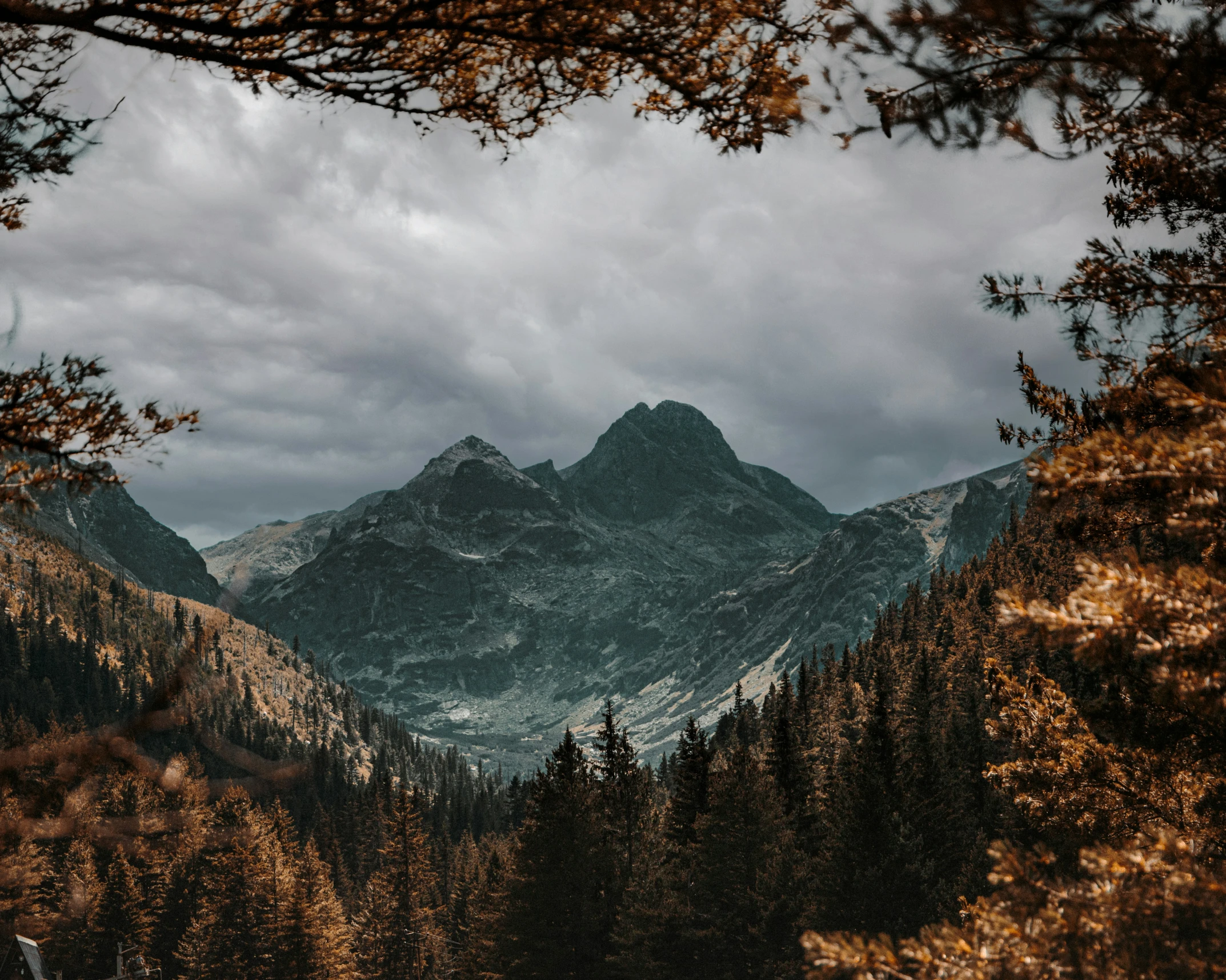 trees on both sides of a mountain view from the bottom