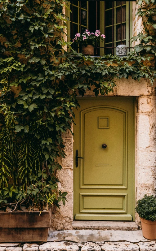 a door with vines and potted plants surrounding it
