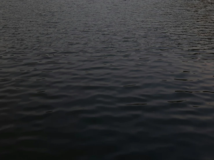 a body of water that has some trees in it