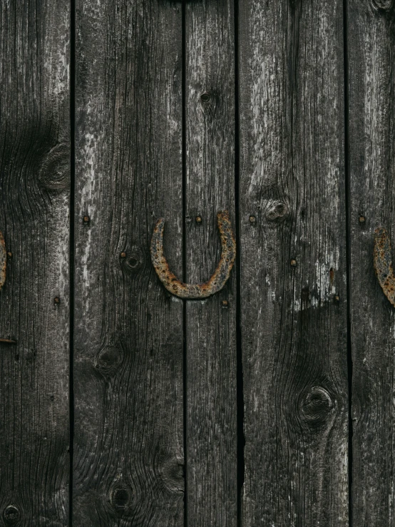 two horseshoes drawn on a piece of wood