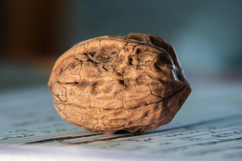 a walnut with brown skin peeling off the top