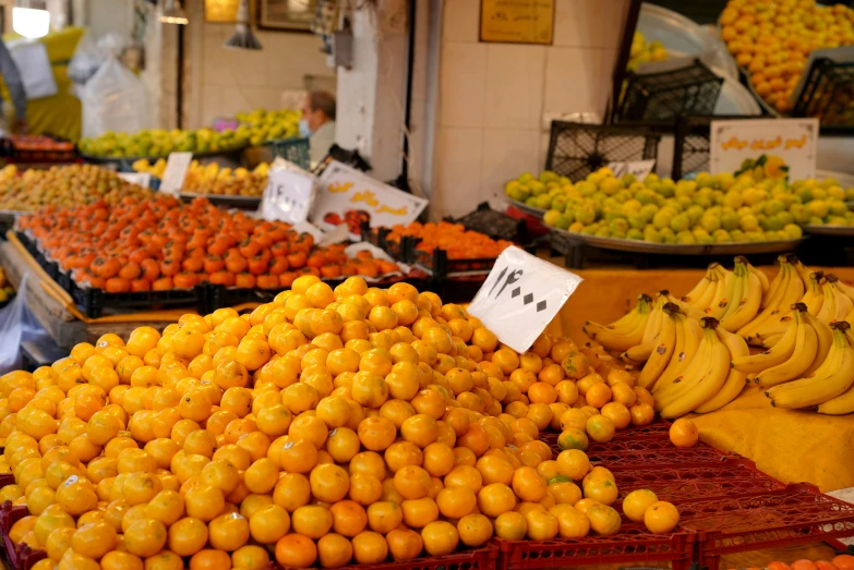 a lot of fruit that is on display